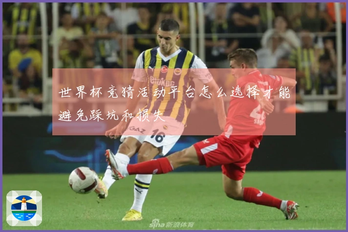 世界杯竞猜活动平台怎么选择才能避免踩坑和损失